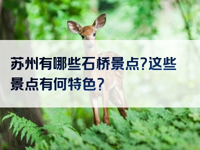 苏州有哪些石桥景点？这些景点有何特色？