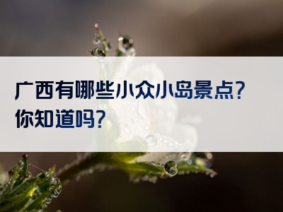 广西有哪些小众小岛景点？你知道吗？