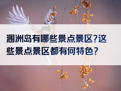 涠洲岛有哪些景点景区？这些景点景区都有何特色？