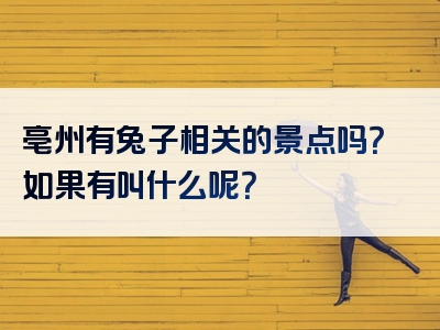 亳州有兔子相关的景点吗？如果有叫什么呢？