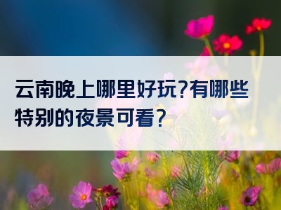 云南晚上哪里好玩？有哪些特别的夜景可看？