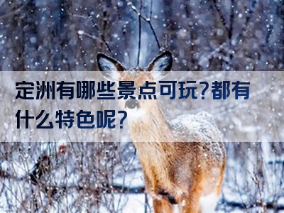 定洲有哪些景点可玩？都有什么特色呢？