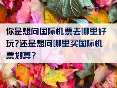 你是想问国际机票去哪里好玩？还是想问哪里买国际机票划算？