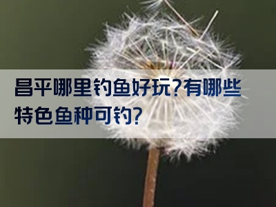 昌平哪里钓鱼好玩？有哪些特色鱼种可钓？