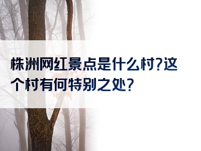 株洲网红景点是什么村？这个村有何特别之处？