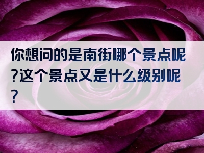 你想问的是南街哪个景点呢？这个景点又是什么级别呢？