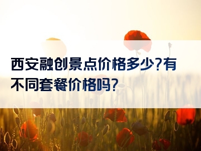 西安融创景点价格多少？有不同套餐价格吗？