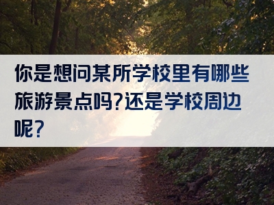 你是想问某所学校里有哪些旅游景点吗？还是学校周边呢？