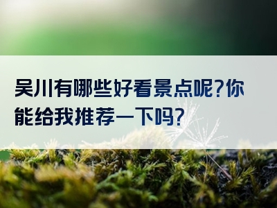 吴川有哪些好看景点呢？你能给我推荐一下吗？