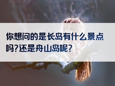 你想问的是长岛有什么景点吗？还是舟山岛呢？