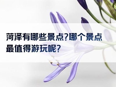 菏泽有哪些景点？哪个景点最值得游玩呢？