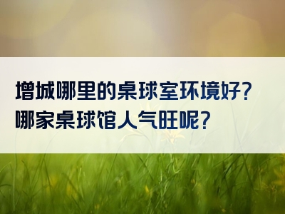 增城哪里的桌球室环境好？哪家桌球馆人气旺呢？