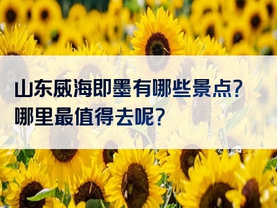 山东威海即墨有哪些景点？哪里最值得去呢？