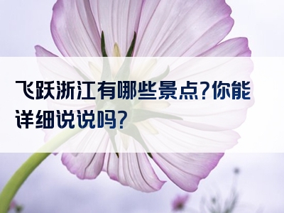 飞跃浙江有哪些景点？你能详细说说吗？