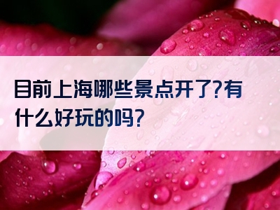 目前上海哪些景点开了？有什么好玩的吗？