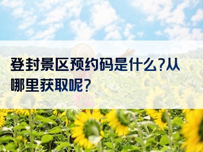 登封景区预约码是什么？从哪里获取呢？