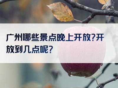 广州哪些景点晚上开放？开放到几点呢？