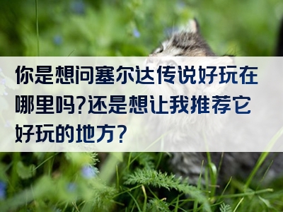 你是想问塞尔达传说好玩在哪里吗？还是想让我推荐它好玩的地方？