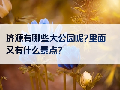 济源有哪些大公园呢？里面又有什么景点？