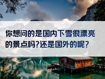 你想问的是国内下雪很漂亮的景点吗？还是国外的呢？