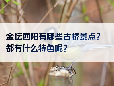 金坛西阳有哪些古桥景点？都有什么特色呢？