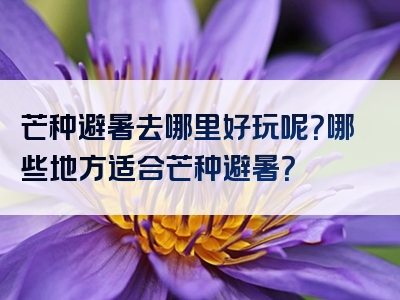 芒种避暑去哪里好玩呢？哪些地方适合芒种避暑？