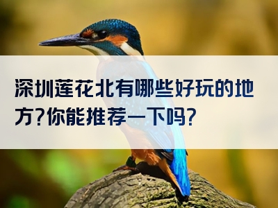 深圳莲花北有哪些好玩的地方？你能推荐一下吗？