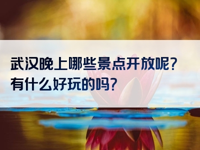 武汉晚上哪些景点开放呢？有什么好玩的吗？