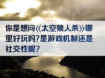 你是想问《太空狼人杀》哪里好玩吗？是游戏机制还是社交性呢？