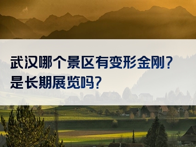 武汉哪个景区有变形金刚？是长期展览吗？