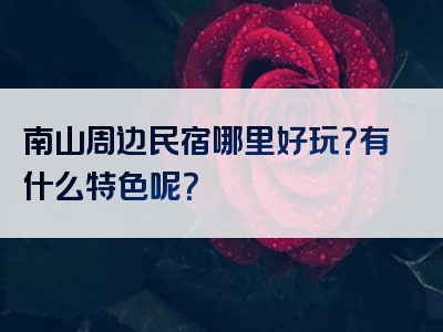 南山周边民宿哪里好玩？有什么特色呢？