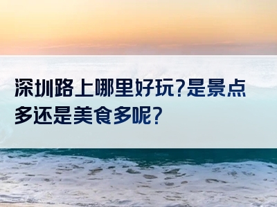 深圳路上哪里好玩？是景点多还是美食多呢？