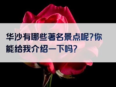 华沙有哪些著名景点呢？你能给我介绍一下吗？