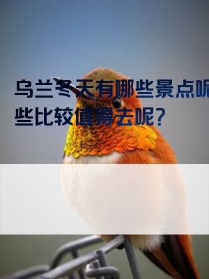 乌兰冬天有哪些景点呢？哪些比较值得去呢？