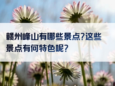 赣州峰山有哪些景点？这些景点有何特色呢？