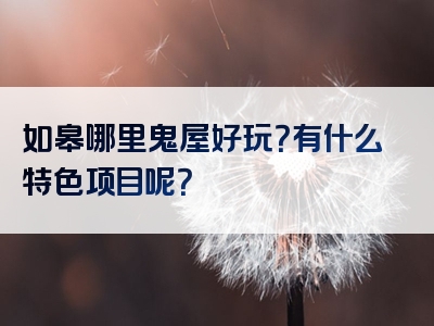 如皋哪里鬼屋好玩？有什么特色项目呢？