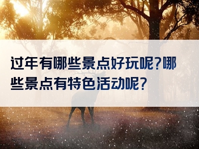 过年有哪些景点好玩呢？哪些景点有特色活动呢？