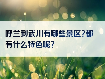 呼兰到武川有哪些景区？都有什么特色呢？