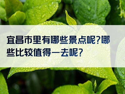 宜昌市里有哪些景点呢？哪些比较值得一去呢？