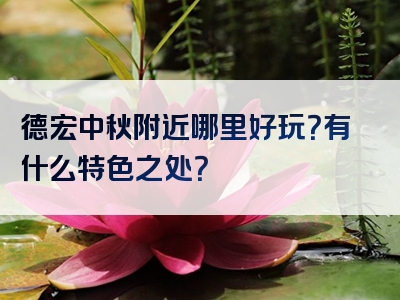 德宏中秋附近哪里好玩？有什么特色之处？