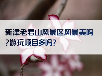 新津老君山风景区风景美吗？游玩项目多吗？