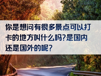 你是想问有很多景点可以打卡的地方叫什么吗？是国内还是国外的呢？