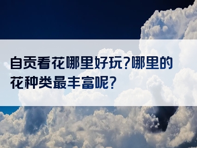 自贡看花哪里好玩？哪里的花种类最丰富呢？