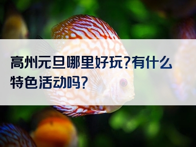 高州元旦哪里好玩？有什么特色活动吗？