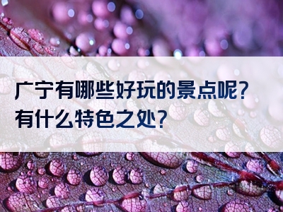 广宁有哪些好玩的景点呢？有什么特色之处？