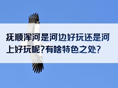 抚顺浑河是河边好玩还是河上好玩呢？有啥特色之处？