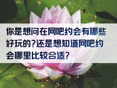 你是想问在网吧约会有哪些好玩的？还是想知道网吧约会哪里比较合适？