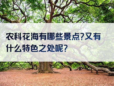 农科花海有哪些景点？又有什么特色之处呢？