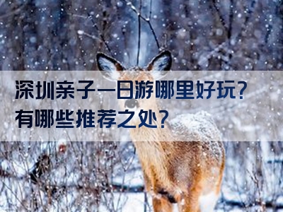 深圳亲子一日游哪里好玩？有哪些推荐之处？