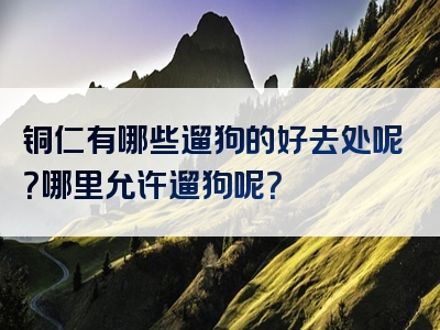 铜仁有哪些遛狗的好去处呢？哪里允许遛狗呢？